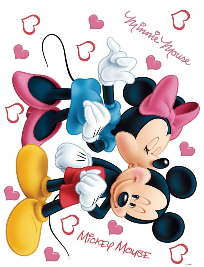 Children's wall sticker DK 1753, Disney, Minnie a Mickey, Pusy, AG Design