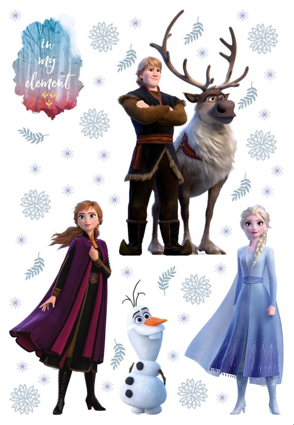 Children's sticker Frozen DK 2316, Disney, Frozen II, AG Design