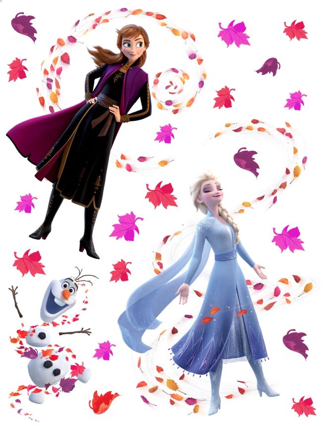 Children's sticker Frozen DK 2317, Disney, Frozen II, AG Design