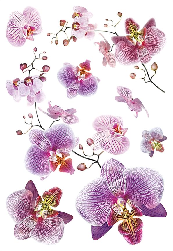 Self-adhesive wall decoration SM 3440, Orchid, AG Design