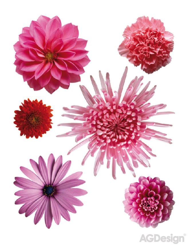 Self-adhesive wall decoration F 0406, Pink flowers, AG Design