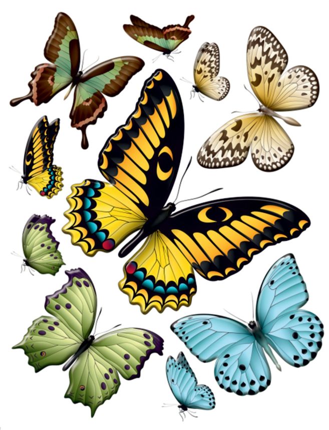 Self-adhesive wall decoration F 1069, Butterflies, AG Design