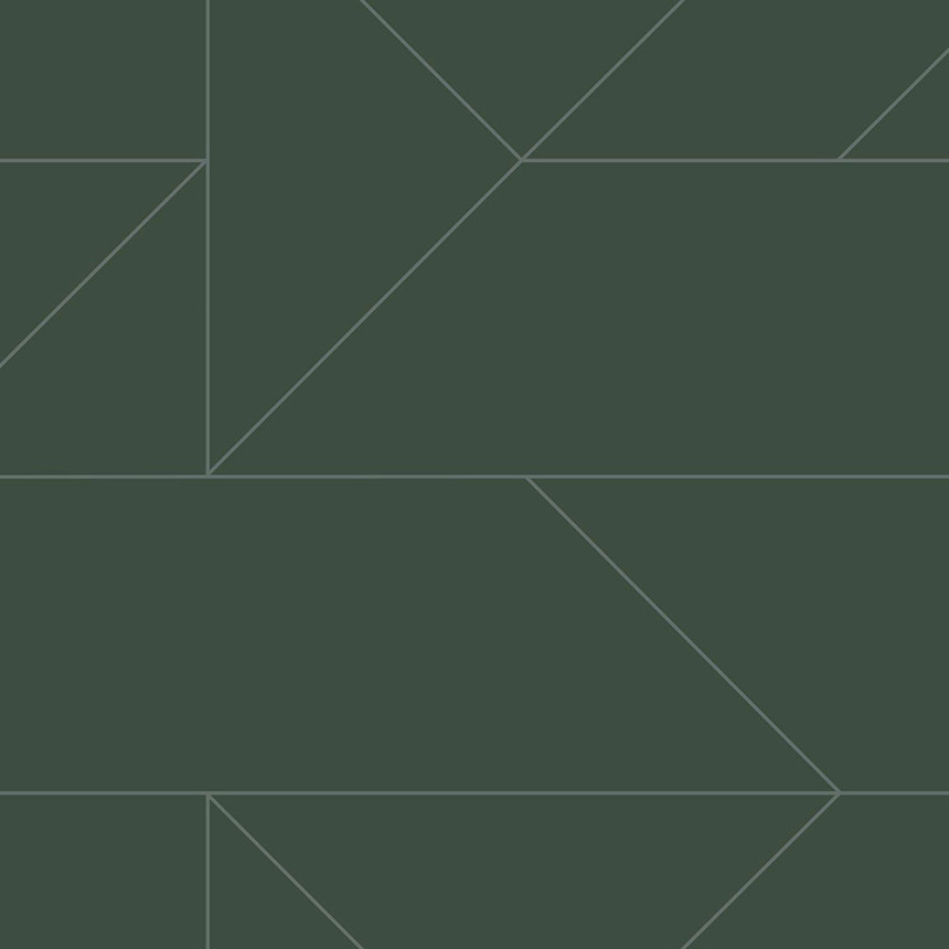Dark green geometric wallpaper, metallic lines 347728, City Chic, Origin 
