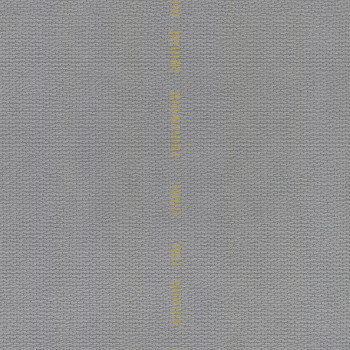 Grey non-woven wallpaper, golden stripe UC51010, Unconventional 2, Emiliana Parati 