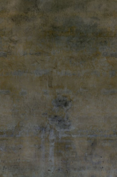 Non-woven wallpaper panel OND22143, 200 x 300 cm, Ophelia, Onirique, Decoprint