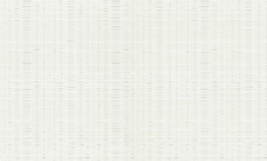 Luxury white-silver non-woven wallpaper, 86040, Valentin Yudashkin 5, Emiliana Parati
