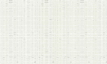 Luxury white-silver non-woven wallpaper, 86040, Valentin Yudashkin 5, Emiliana Parati