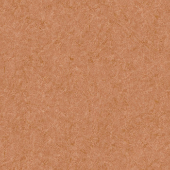 Brown textured wallpaper, TP422904, Tapestry, Design ID