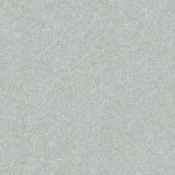 Gray-blue textured wallpaper, TP422906, Tapestry, Design ID
