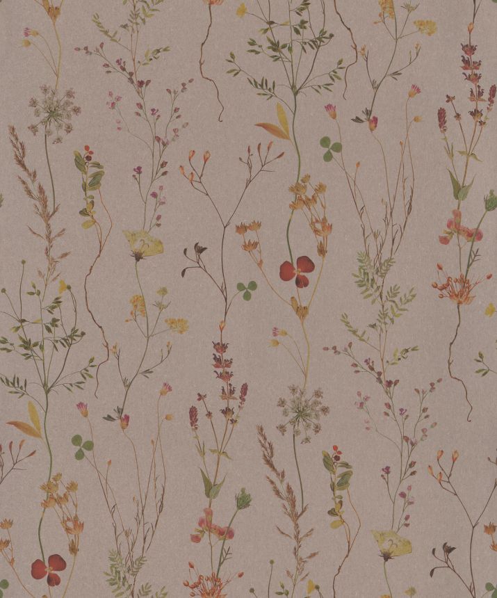 Brown wallpaper, meadow flowers, 221340, Botanical, BN Walls