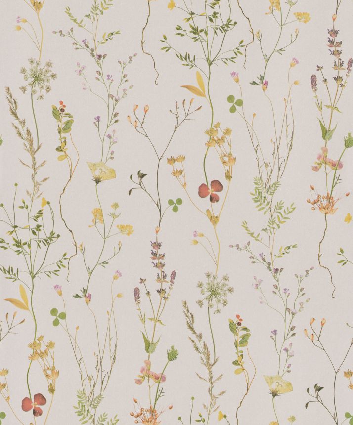 Beige wallpaper with meadow flowers, 221342, Botanical, BN Walls