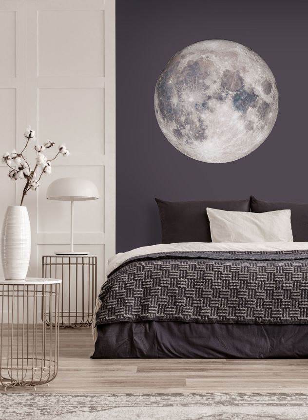 Pre-pasted non-woven wallpaper, decoration Moon, PLC060, Platinum Shapes, Decoprint