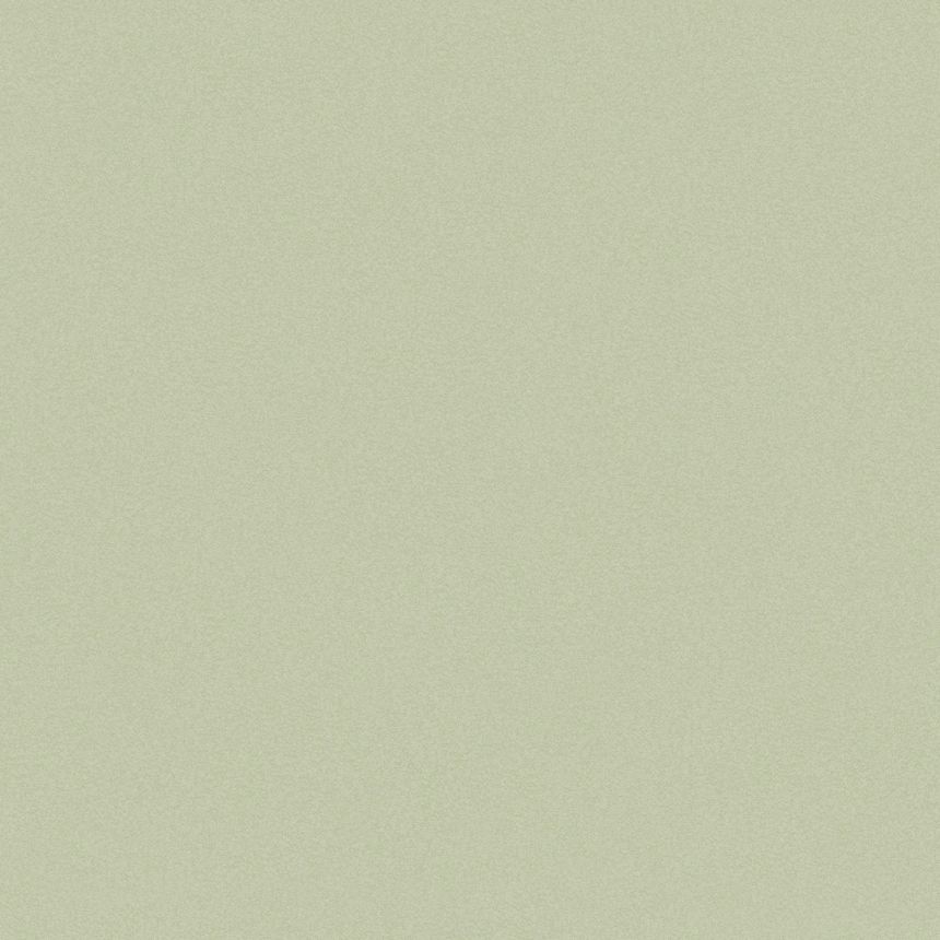Monochrome green wallpaper, 120885, Joules, Graham&Brown