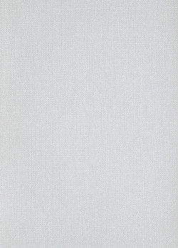 White-grey non-woven wallpaper, ALL903, Othello, Zen, Zoom by Masureel