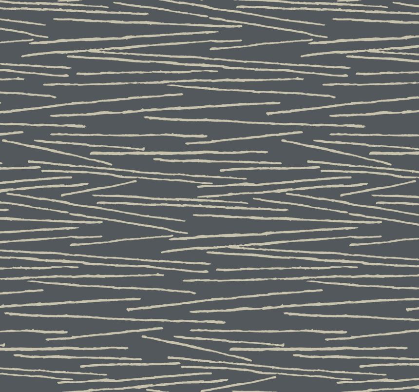 Black non-woven wallpaper, beige lines, EV3940, Candice Olson Casual Elegance, York