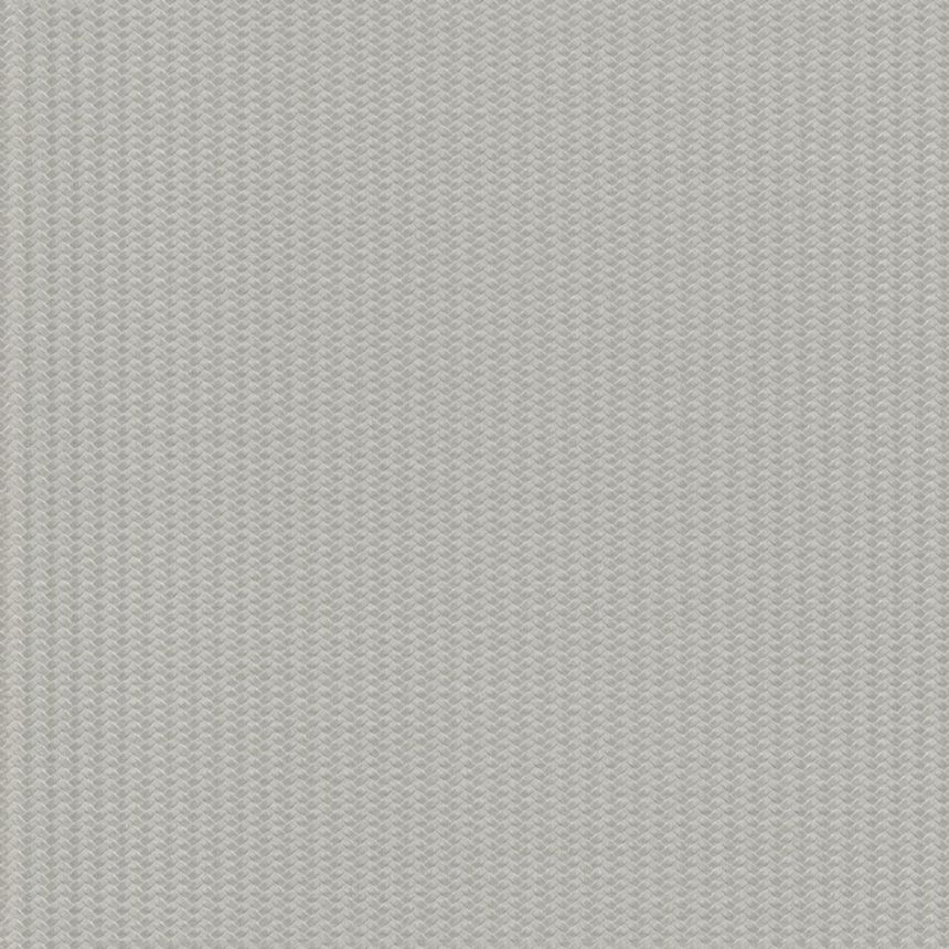 Luxury gray-silver non-woven wallpaper, Z12843, Automobili Lamborghini 3