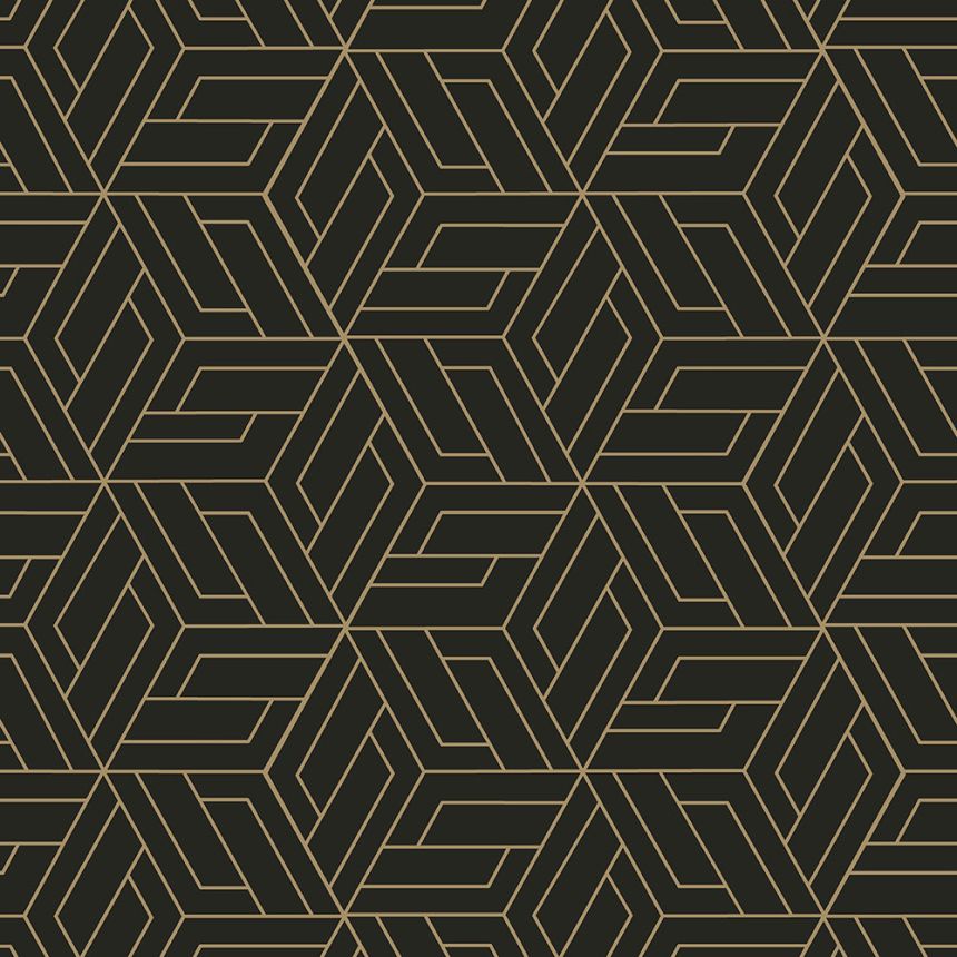 Black-gold geometric non-woven wallpaper, A67302, Vavex 2026