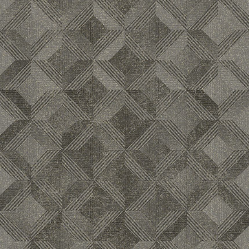 Gray-brown geometric non-woven wallpaper, A68201, Vavex 2026