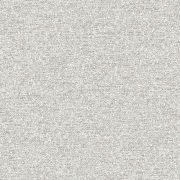 Gray non-woven wallpaper, A72102, Vavex 2026