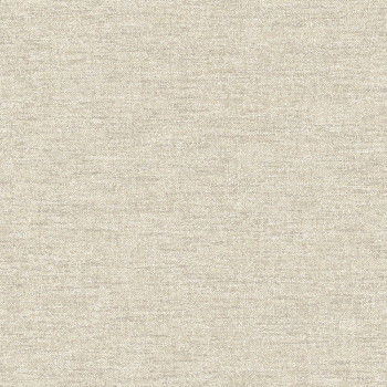 Gray-beige non-woven wallpaper, A72105, Vavex 2026