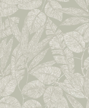 Gray non-woven wallpaper with leaves, A69501, Omura, Grandeco