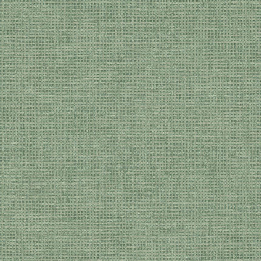 Non-woven wallpaper, green, mat imitation, 124093, Utopia, Graham Brown Premium