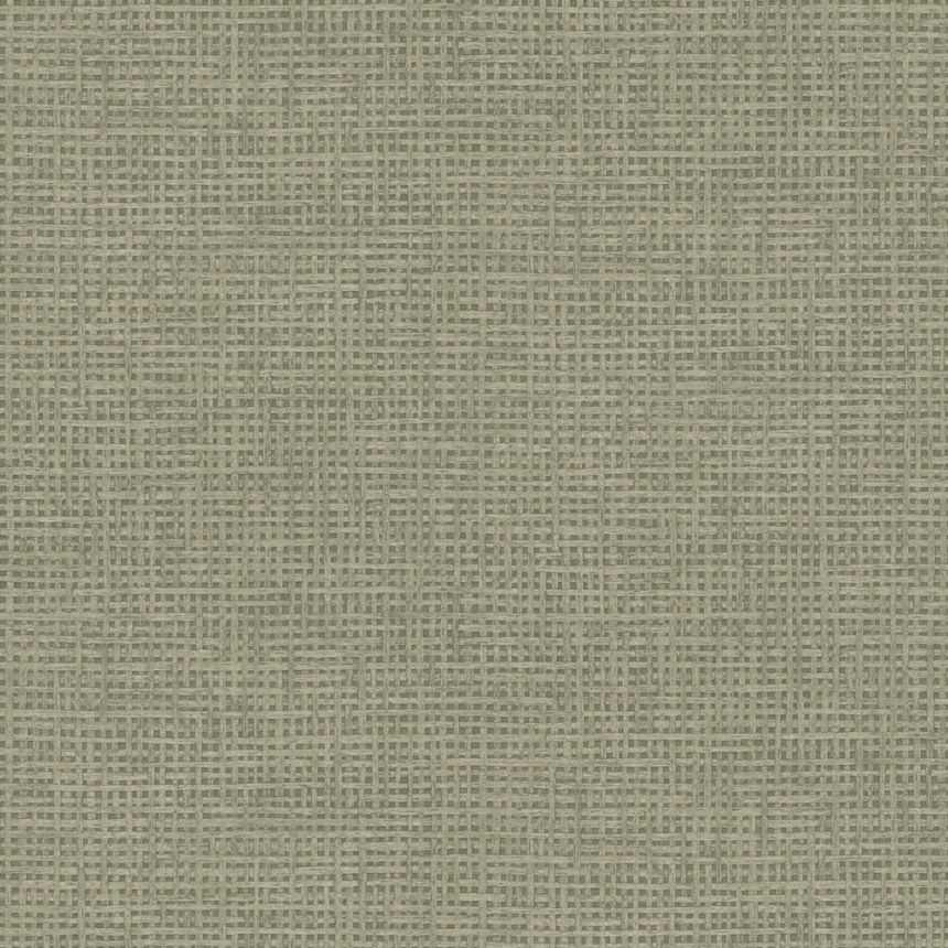 Non-woven wallpaper, brown, mat imitation, 124094, Utopia, Graham Brown Premium
