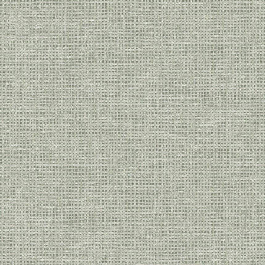 Non-woven wallpaper, grey, mat imitation, 124095, Utopia, Graham Brown Premium