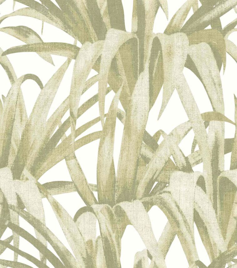 Non-woven wallpaper, green, leaves, 15525, Botany House, Cristiana Masi by Parato
