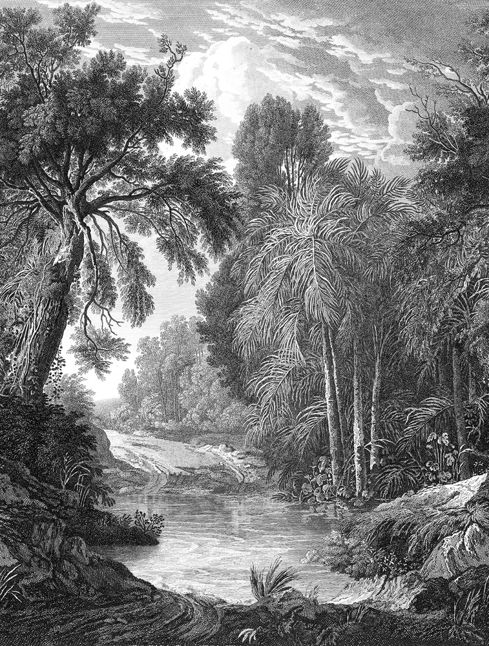 Non-woven wall mural, black, forest, trees, FW4019-1, Feature Walls, Decoprint