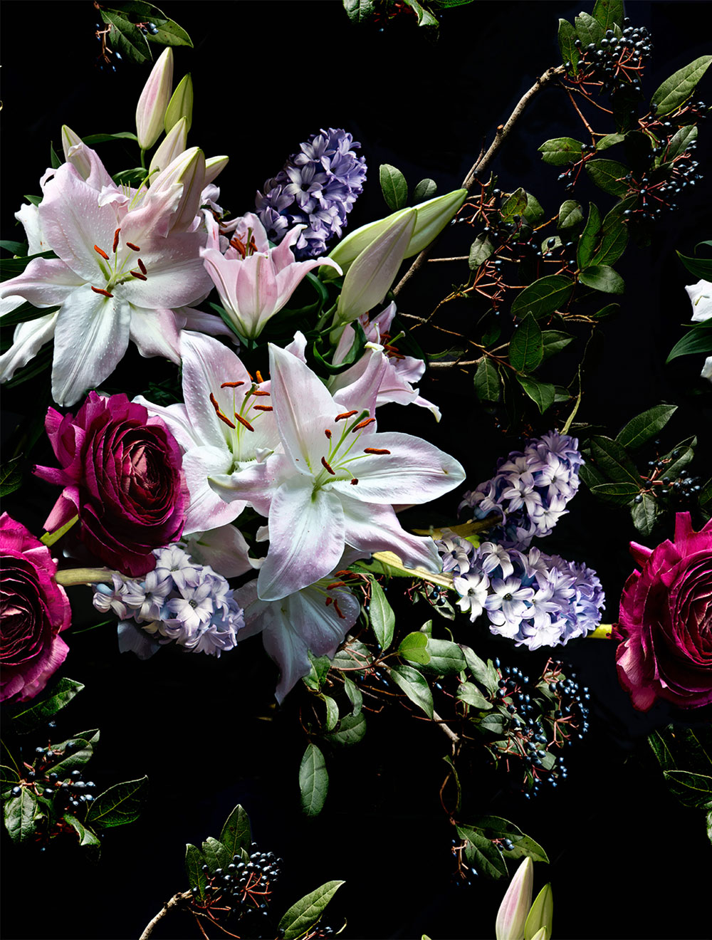 Non-woven wall mural, flowers, FW4065-1, Feature Walls, Decoprint