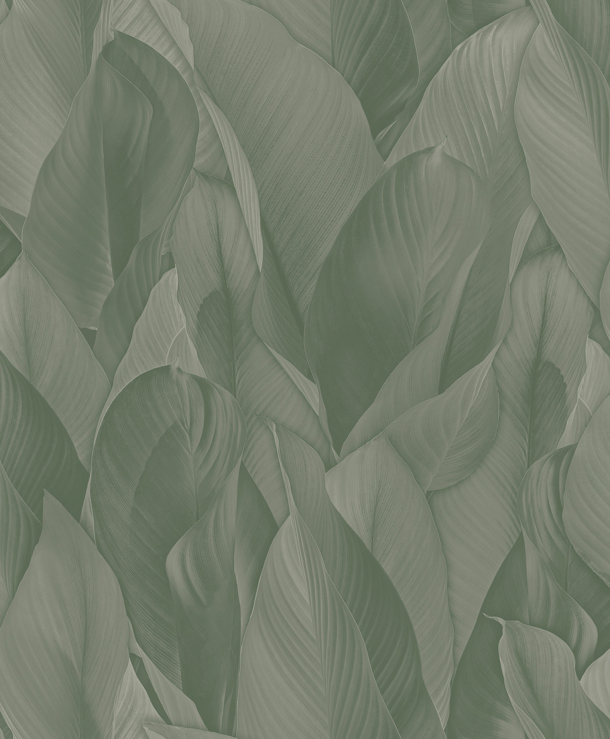 Luxury non-woven wallpaper, green, leaves, Z57705, Architexture 2,  Zambaiti Parati