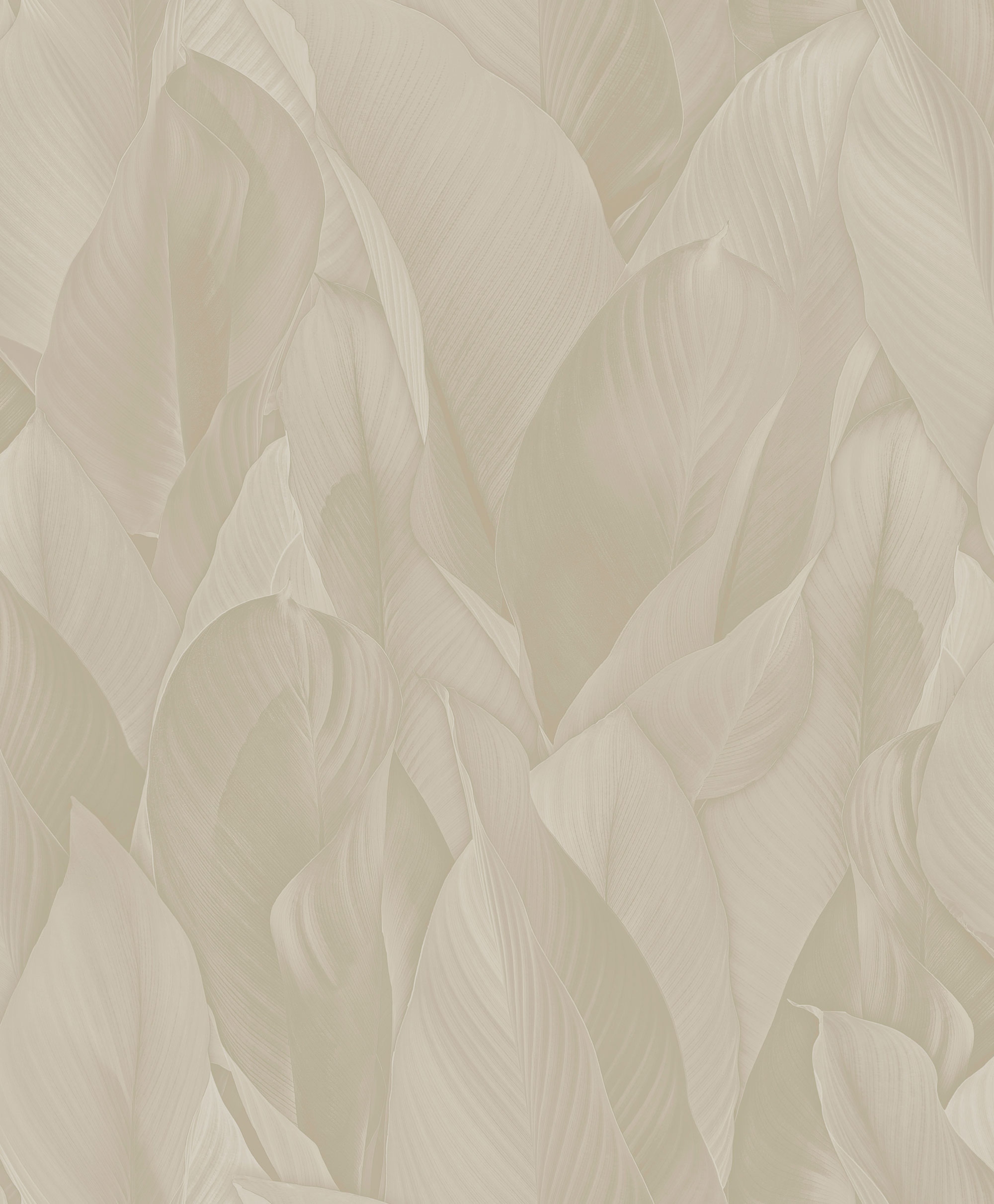 Luxury non-woven wallpaper, cream, leaves, Z57708, Architexture 2,  Zambaiti Parati