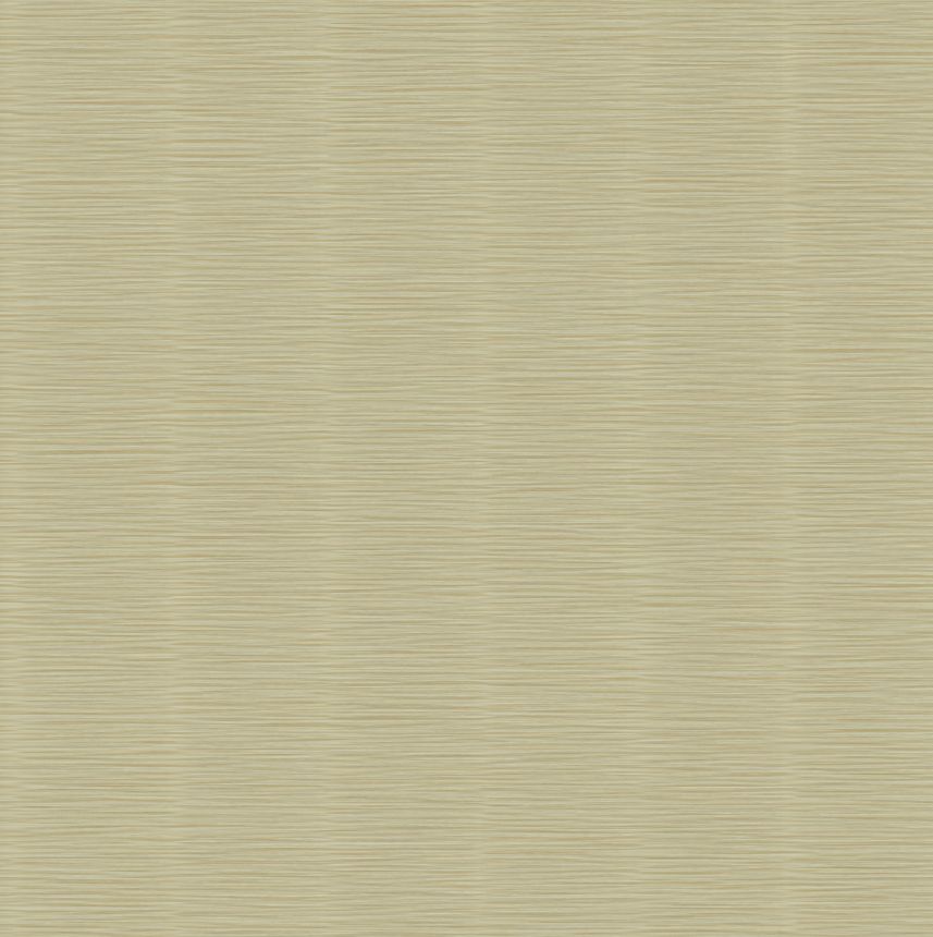 Luxury non-woven wallpaper, beige, texture, Z57721, Architexture 2,  Zambaiti Parati