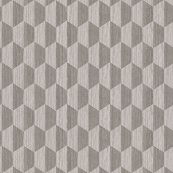 Geometric non-woven wallpaper 220354, Geometry, Vavex