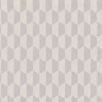 Geometric non-woven wallpaper 220353, Geometry, Vavex
