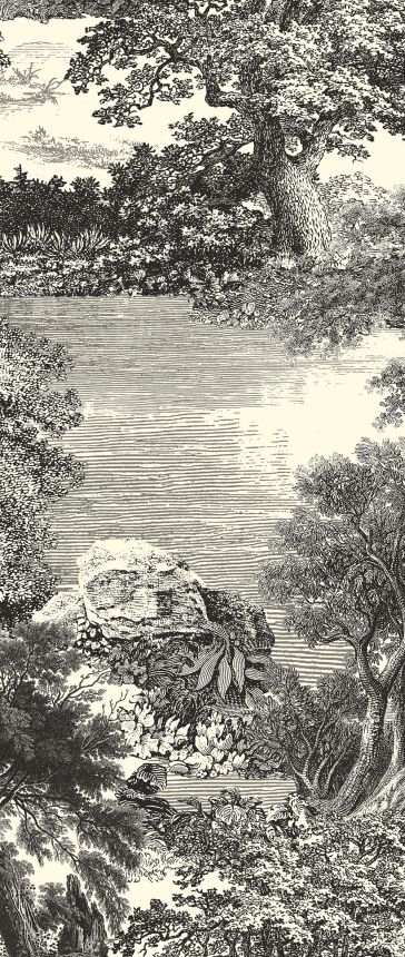 Mural wallpaper, black, forest, trees, DGSAL1011-300, Amazone, Masureel