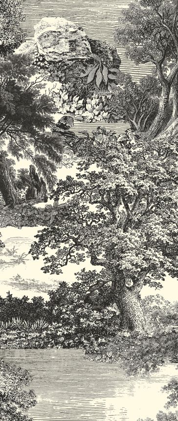 Mural wallpaper, black, forest, trees, DGSAL1013-260, Amazone, Masureel