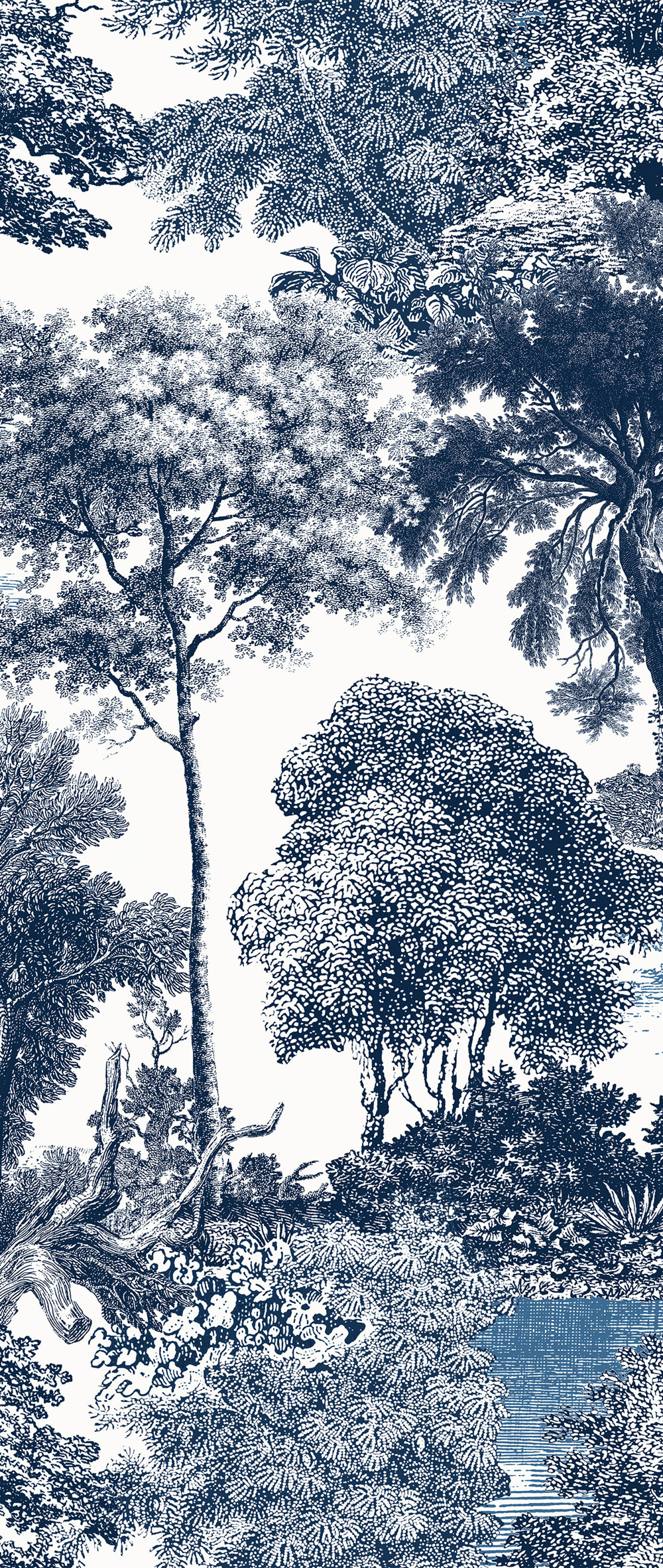 Mural wallpaper, blue, forest, trees, DGSAL1022-300, Amazone, Masureel