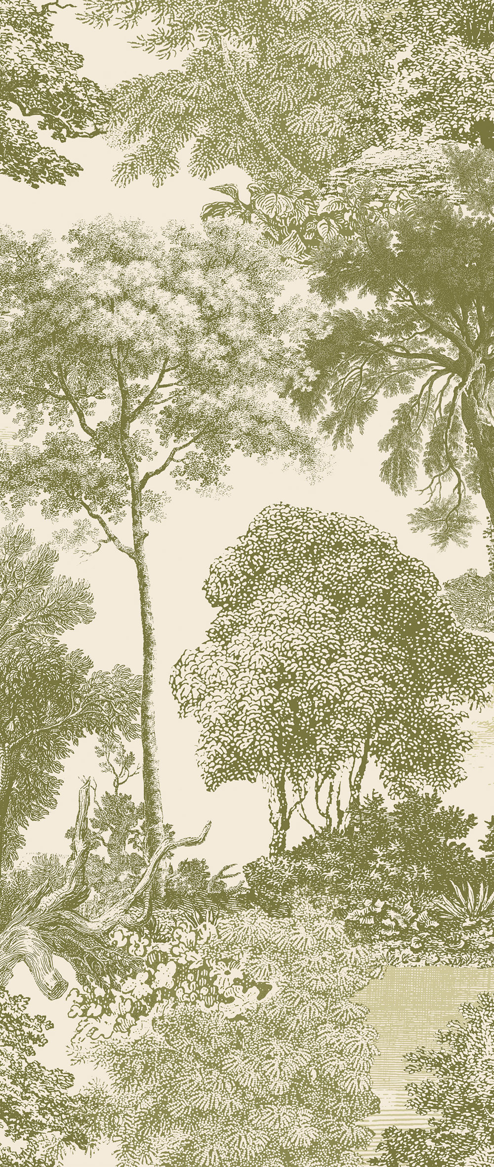 Mural wallpaper, green, forest, trees, DGSAL1032-260, Amazone, Masureel