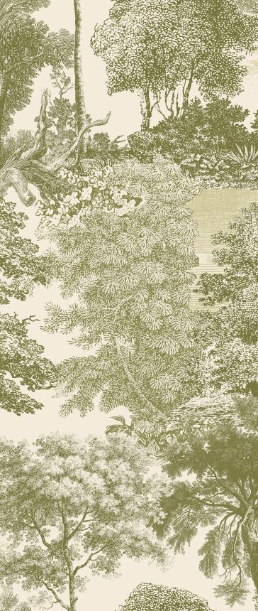 Mural wallpaper, green, forest, trees, DGSAL1034-300, Amazone, Masureel