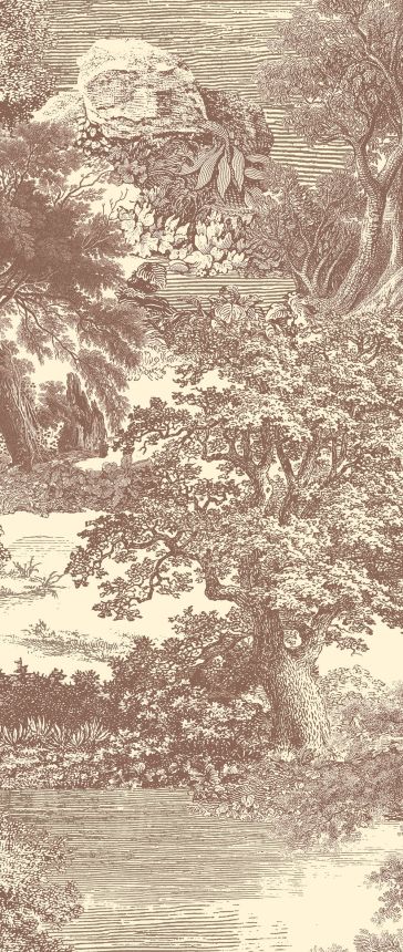 Mural wallpaper, brown, forest, trees, DGSAL1043-300, Amazone, Masureel