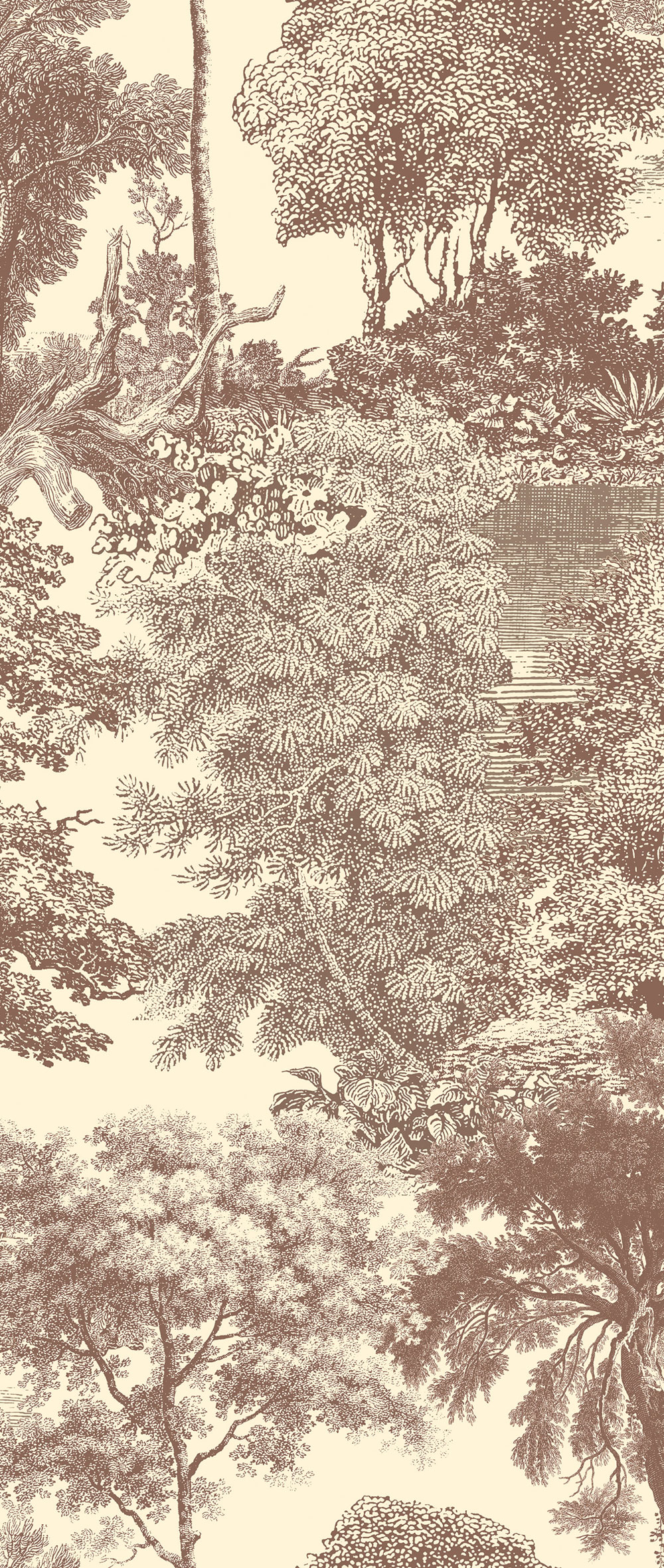 Mural wallpaper, brown, forest, trees, DGSAL1044-260, Amazone, Masureel