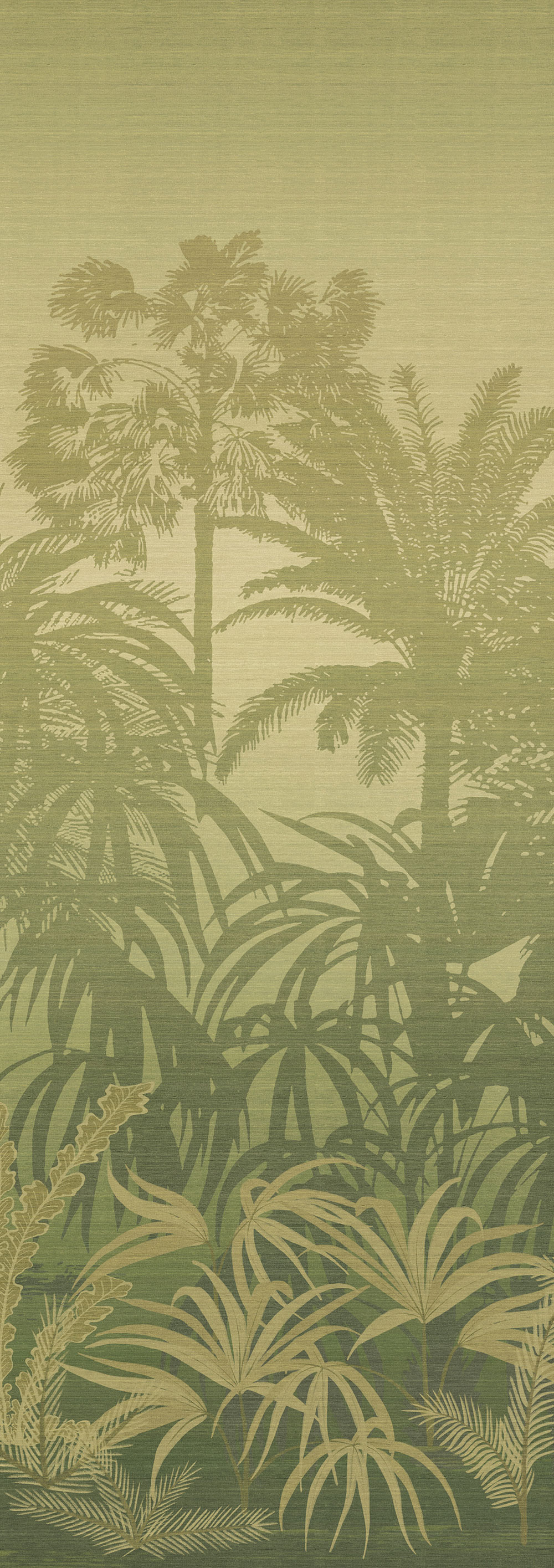 Mural wallpaper, green, palms, DGZON1021-300, Amazone, Masureel