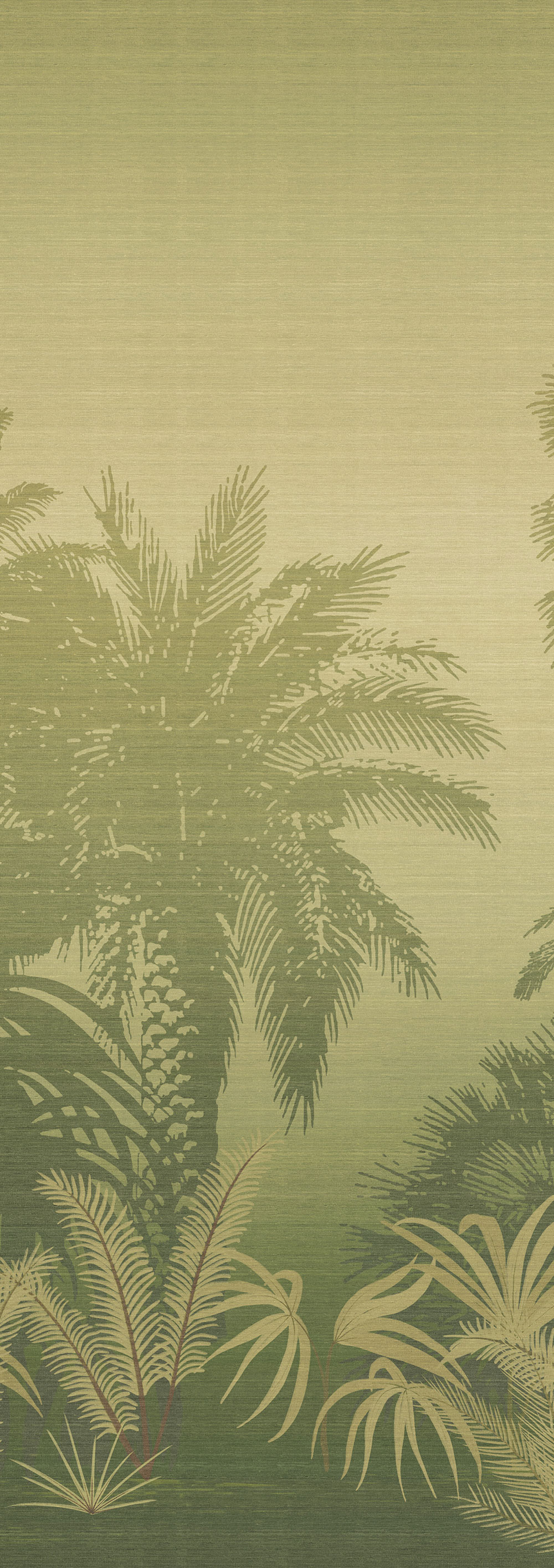 Mural wallpaper, green, palms, DGZON1022-260, Amazone, Masureel