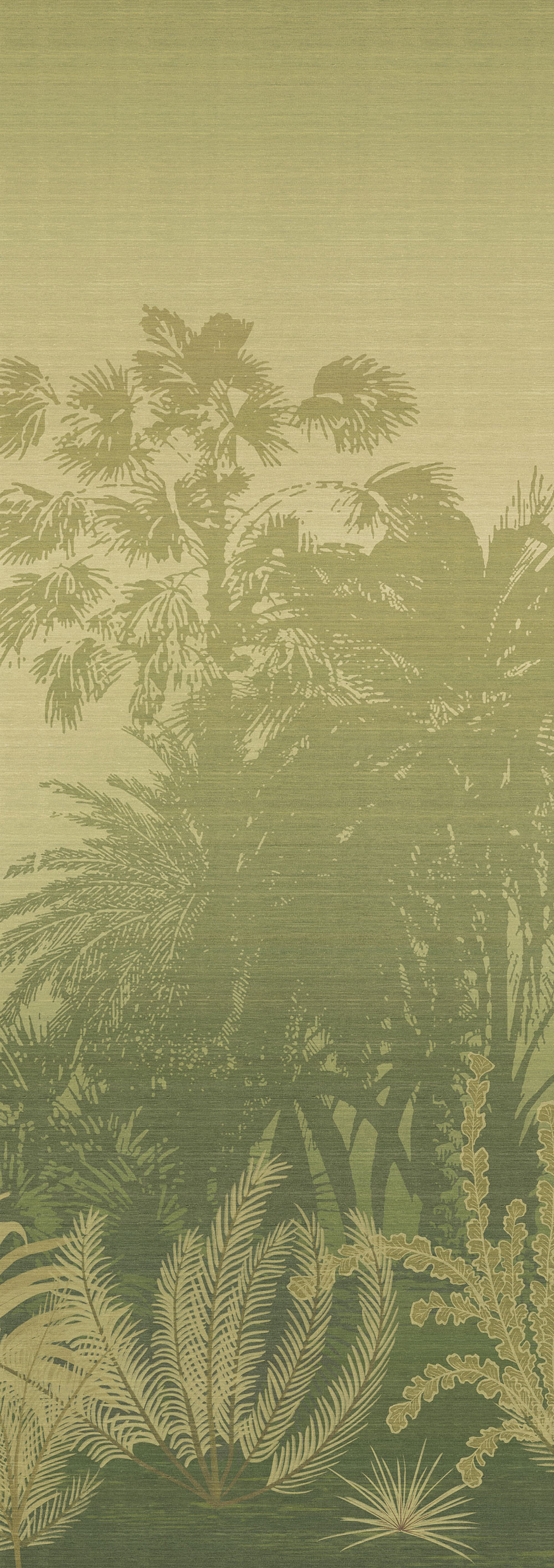 Mural wallpaper, green, palms, DGZON1023-300, Amazone, Masureel