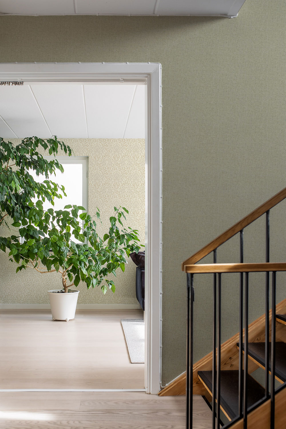 Wallpaper, green, 4188, Alla Tiders Hus, Borastapeter