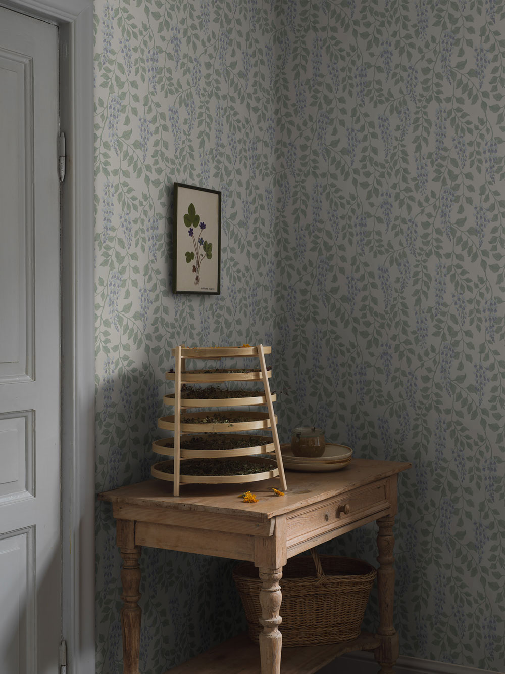 Wallpaper, cream, wisteria flowers, 5707, Orangeri, Boråstapeter