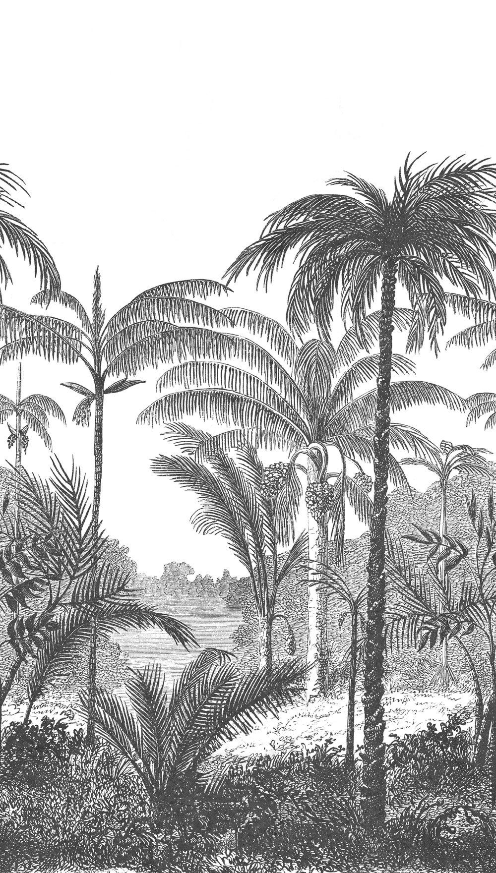 Beige wallpaper, Landscape, palms, A58201, One roll, one motif 2, Grandeco