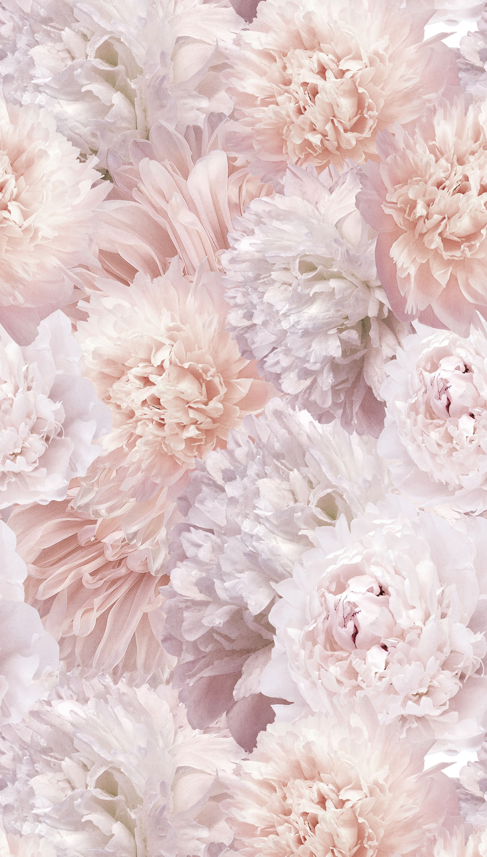 Beige wallpaper, Flowers, A77501, One roll, one motif 2, Grandeco